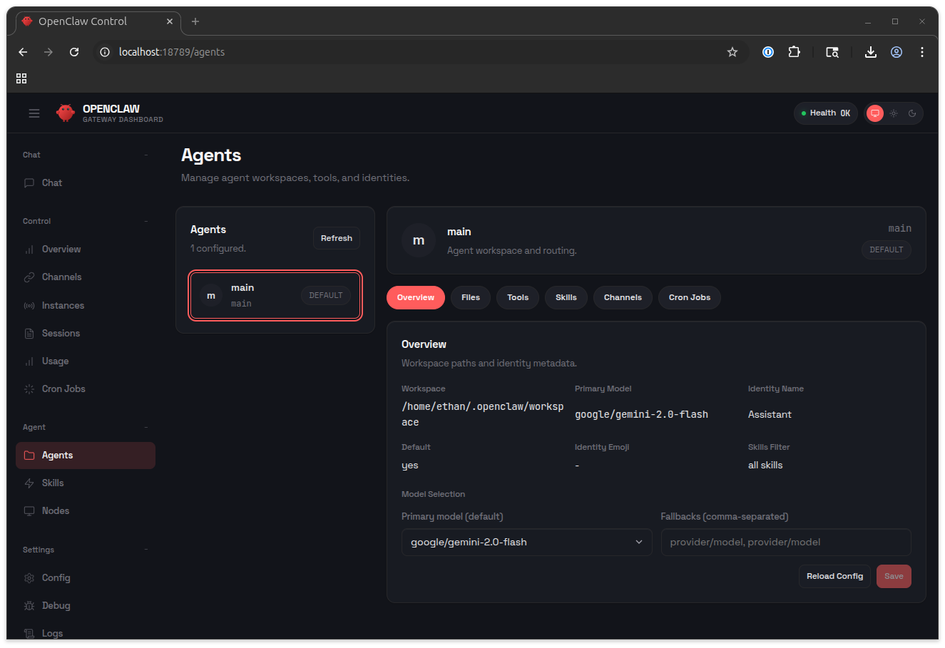 OpenClaw agentic workflow